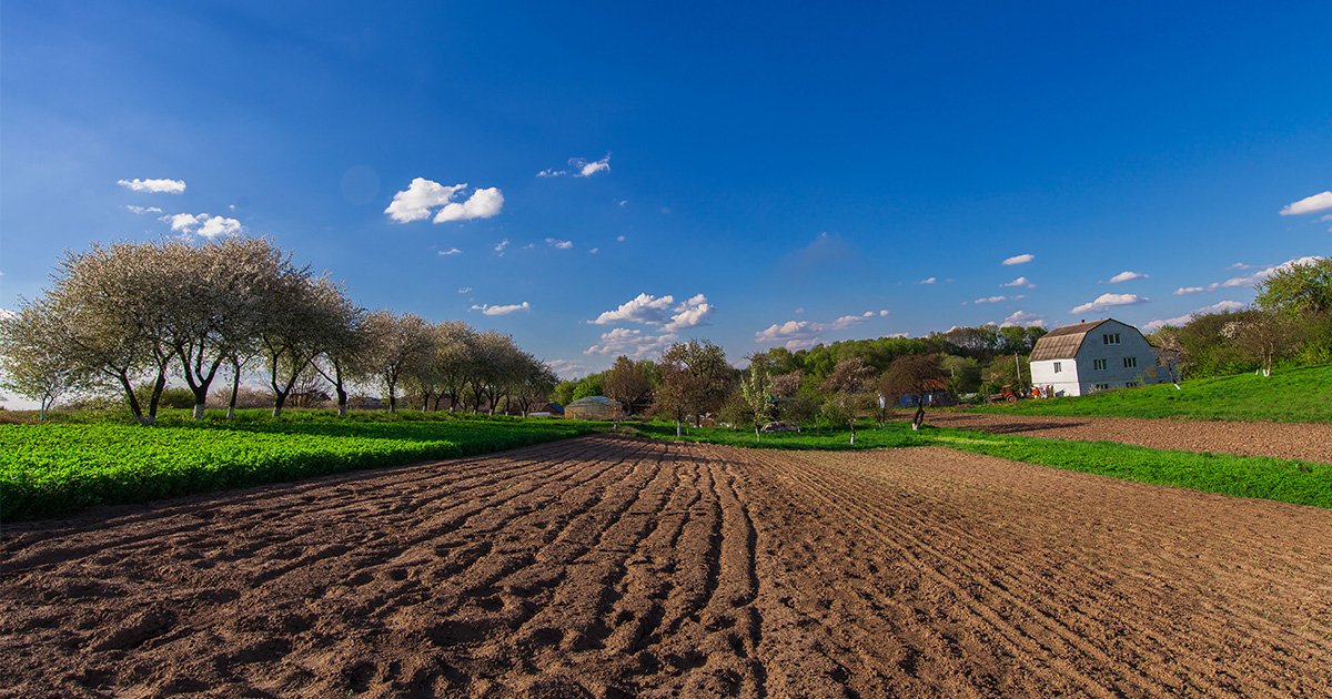 Arazi ve arsa kavramları arasında nasıl bir fark vardır?