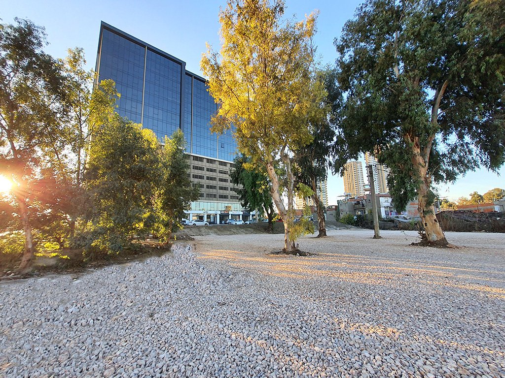 İzmir Gıda Çarşısında 1+0 Oda 50 m2 Net Kiralık Ofis